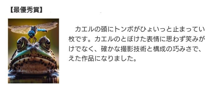 AIが暴いた「創造」と「欺瞞」、日本写真大賞取消の裏にある、アートと倫理の境界線