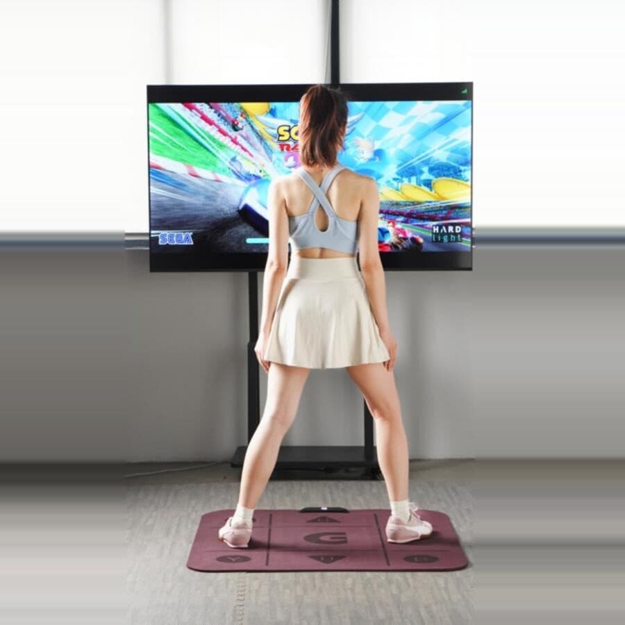 GAMR|動きを遊びに昇華する次世代ゲーミングプレイパッド