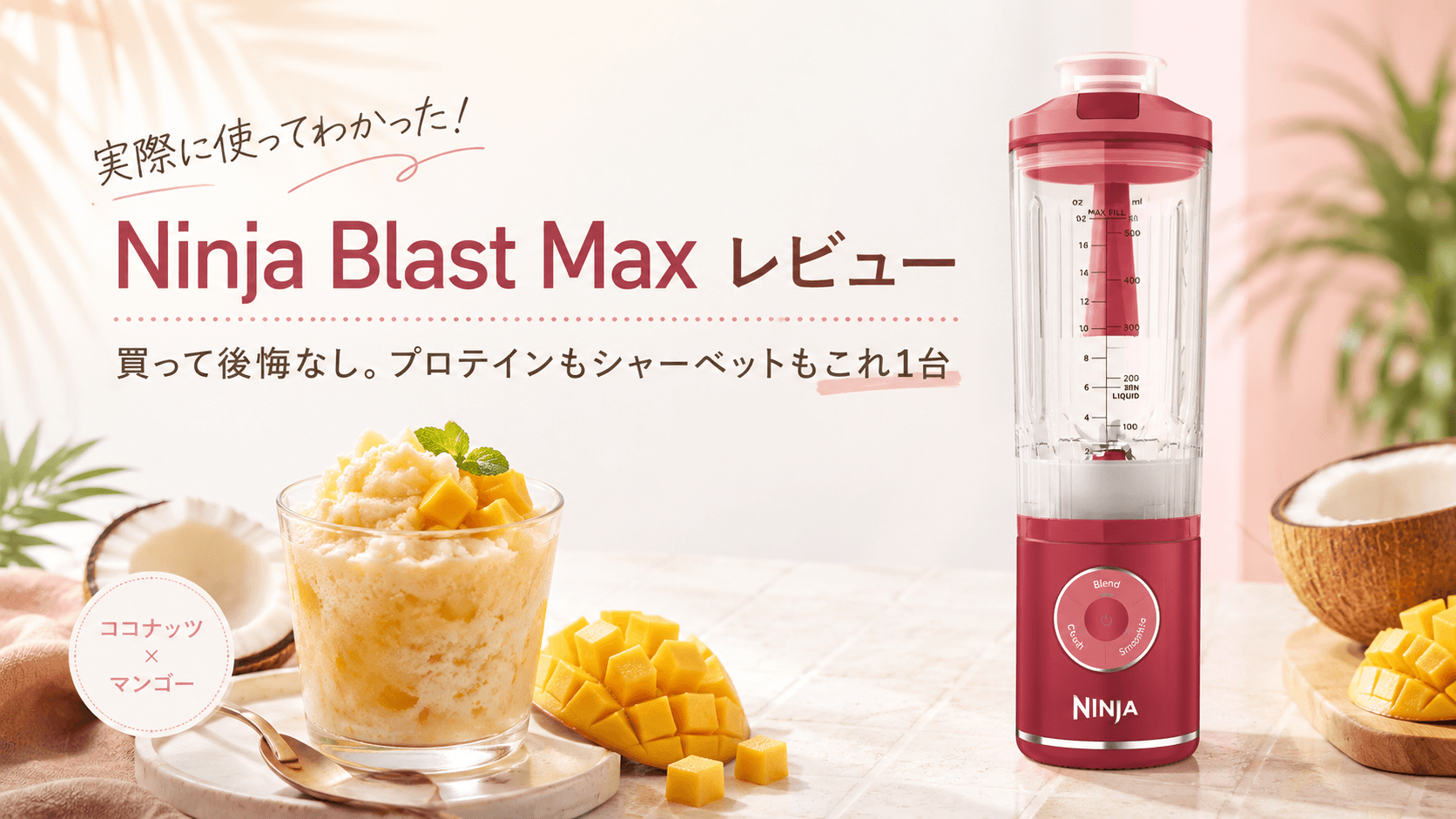 Ninja Blast Max|氷まで砕くコードレスミキサー|なぜもっと早く買わなかったのかと後悔した、夏の一台