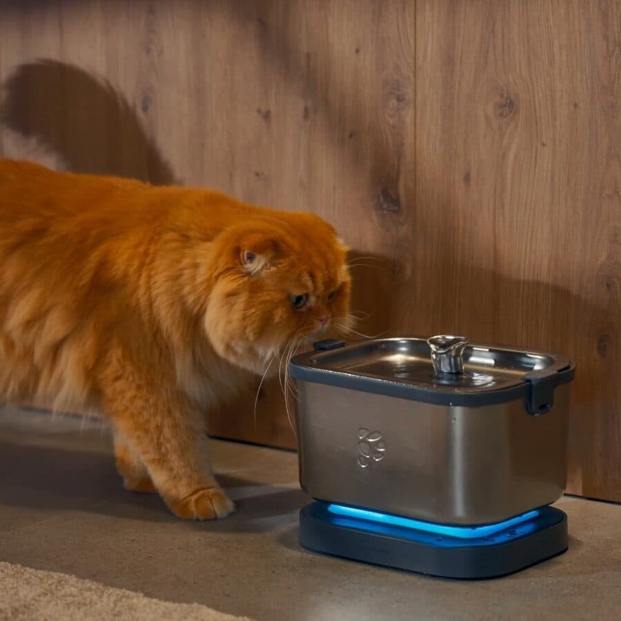 Petnimo 1|水にモーターを沈めない。手入れまで軽くするステンレス製猫用給水器