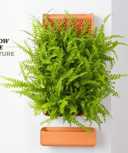 TILE by Tevaplanter｜セルフウォータリングタイルで自然な植物育成
