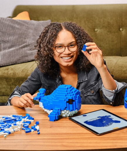 Brick My World｜現実世界をLEGO®モデルに変換するアプリ