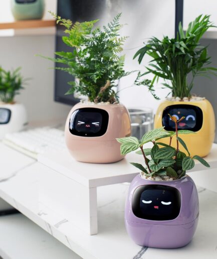 PLANTSIO Ivy｜次世代スマートペットプランターで植物育成が楽しく簡単に
