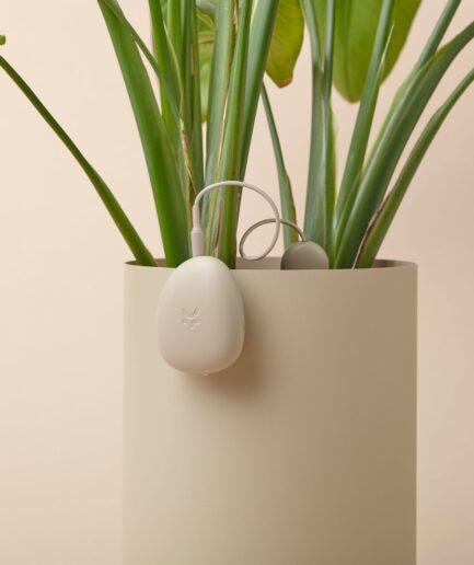 OKO｜植物を枯らさないためのスマートセンサー