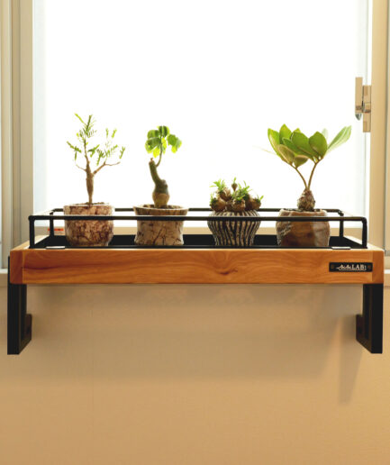 窓ぎわプランタースタンド｜室内の窓辺で植物を「浮かせて」飾るインテリアプランタースタンド