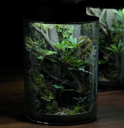 Vasee Y02|デスクトップで楽しむ 3D プリント自作生態系ジャー