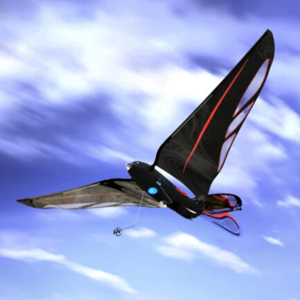 The Swift｜生体力学が生み出す究極の羽ばたき型ドローン、自然な飛翔を再定義する