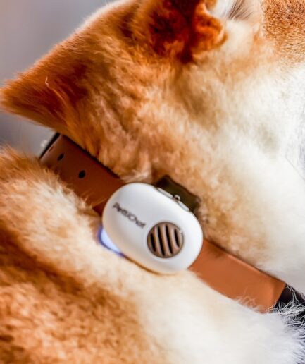 PettiChat｜ペットとの心を通わせるリアルタイム双方向翻訳機