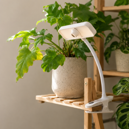 FernSnap｜植物の“見逃していた成長”を一本の物語に変えるAIタイムラプスカメラ