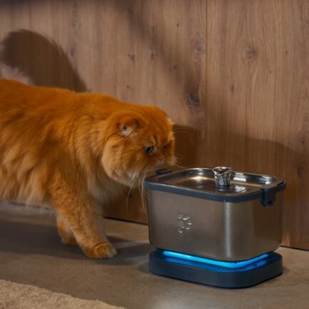 Petnimo 1|水にモーターを沈めない。手入れまで軽くするステンレス製猫用給水器